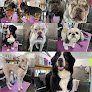 Negocio Cosmos Cuts Pet Grooming Boutique Llc