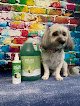 Negocio Cricket's K9 Clips