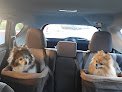 Negocio Cuddlers Pet Grooming