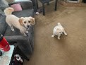 Negocio Cut'n Dry Pet Grooming