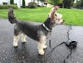 Negocio Cutting Edge Pet Spa