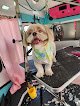 Negocio D.o.g. Mobile Grooming