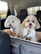 Negocio Dale's Pet Grooming