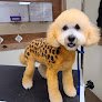 Negocio Dapper Dog Pet Grooming