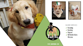 Negocio Dapper Dog Pet Grooming