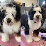 Negocio Dawgs & Paws, Llc