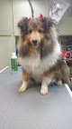 Negocio De Grooming