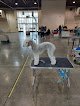 Negocio Denali's Pet Spa
