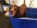 Negocio Dirty Dawgs Pet Grooming