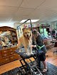 Negocio Dirty Paws Pet Spa