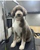 Negocio Doc's Dog Groomery
