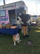 Negocio Dog Country Llc (mobile Grooming)