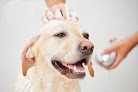 Negocio Dog Groomming