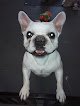 Negocio Doggie Do Pet Salon
