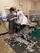 Negocio Doggie Doos Grooming