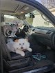 Negocio Doggie Styles