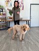 Negocio Doggy Daze - Gilbert Dog Grooming