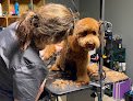 Negocio Doggy Stylz Grooming Salon