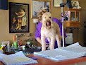 Negocio Dogs Day Bowtique Grooming Salon