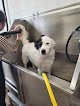 Negocio Dolly's Grooming And Dog Wash