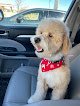 Negocio Earthwise Pet Supply & Grooming Colorado Springs