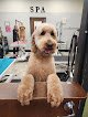 Negocio Earthwise Pet Supply & Grooming Wenatchee