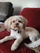 Negocio Echo Valley Pet Grooming