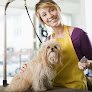 Negocio Edison Mobile Pet Grooming