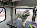 Negocio Elite Pet Grooming