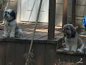 Negocio Empire Pets Grooming Boutique And Salon