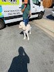 Negocio Espaco Mobile Pet Grooming