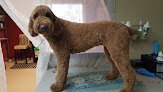 Negocio Fancy Tail Pet Grooming, Llc