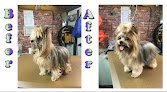 Negocio Fancyfur Mobile Dog Grooming