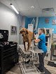 Negocio Favs Tails & Nails Dog Grooming