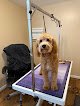 Negocio Fluff It Up Pet Grooming