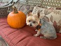 Negocio For The Love Of Dogs Mobile Spa