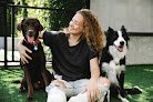 Negocio Fort Lauderdale Mobile Pet Grooming