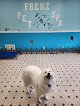 Negocio Frenz Pet Spa