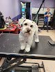 Negocio Friendly Paws Grooming