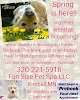 Negocio Fun Size Pet Spa Llc