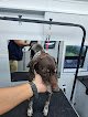 Negocio Fur Ever Natural & Fresh Mobile Pet Grooming