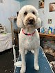 Negocio Fur On The Floor Dog Grooming