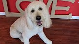 Negocio Fur The Love! Dog Grooming Studio