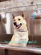Negocio Fur-a-licious Mobile Pet Spa Llc