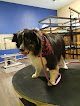 Negocio Furr-nley's Pet Spa
