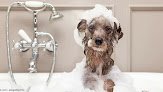 Negocio Furry Friends Pet Grooming