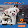 Negocio Furry Land Mobile Grooming Denver