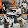 Negocio Furry Land Mobile Pet Grooming Tucson