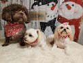 Negocio Fuzzy Tails Dog Grooming