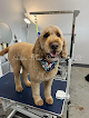 Negocio Golden Bone Grooming Llc